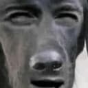 BERRUSMUSSIC