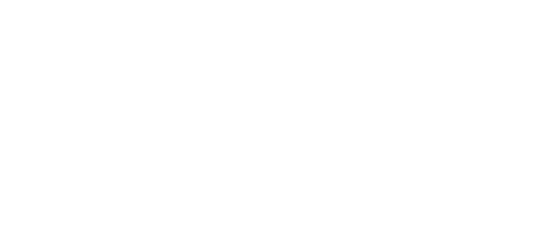 RSX Logo